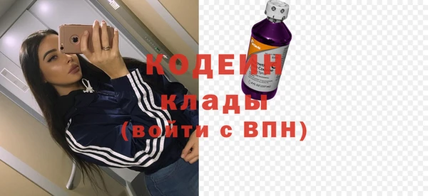 стаф Арсеньев