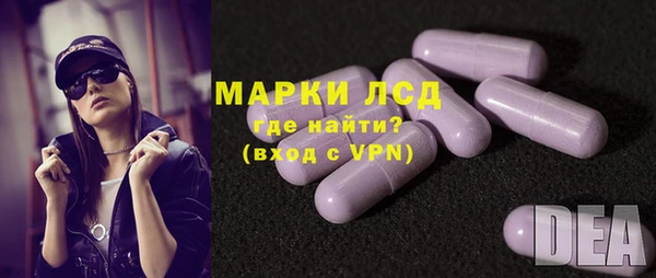 стаф Арсеньев