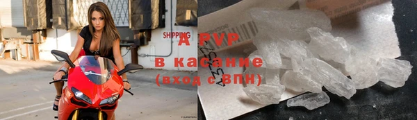 стаф Арсеньев