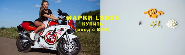 стаф Арсеньев