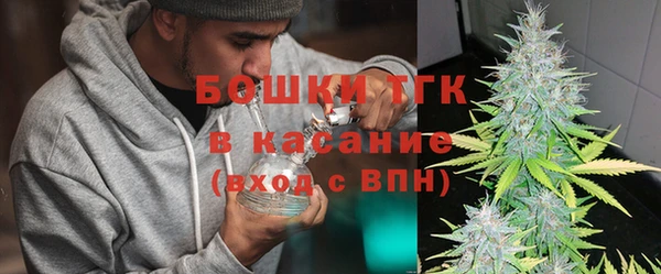 стаф Арсеньев