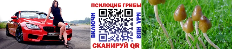 Галлюциногенные грибы прущие грибы  Афипский 