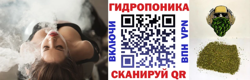 Канабис AK-47  Афипский 
